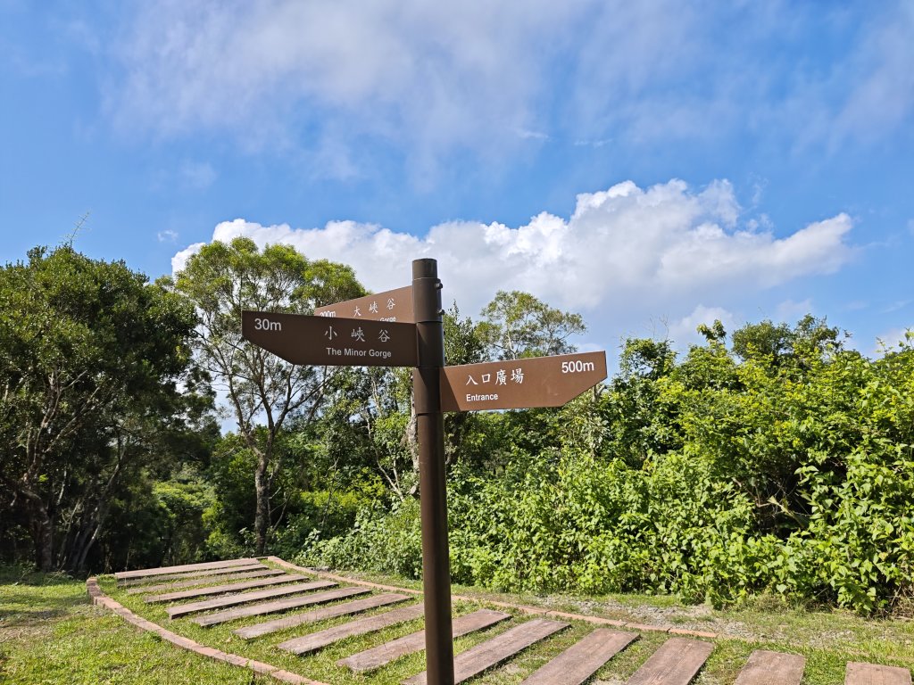 [百山百鳥尋旅-02/15] 2025_0809 社頂自然公園步道_2857094