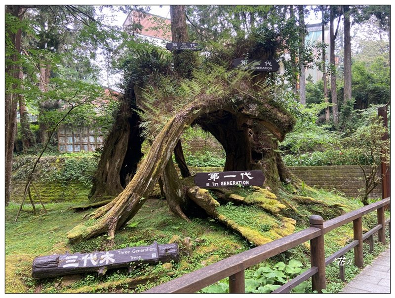 大塔山 (小百岳最高峰)_2773242