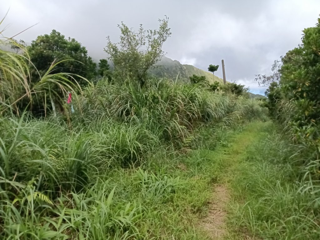 瑞芳區找尋半屏大瀑布未果_2880946