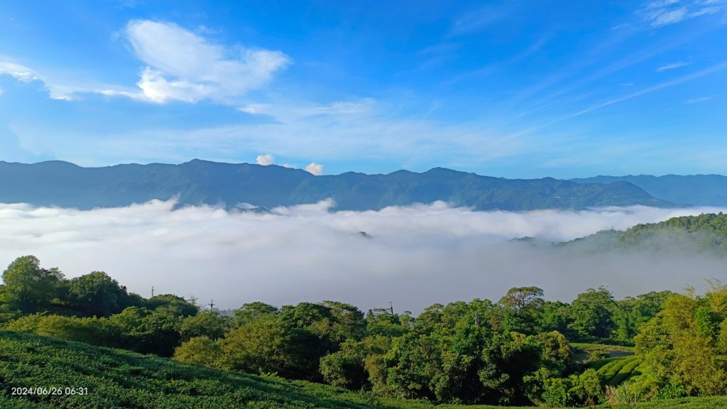 坪林趴趴走追雲趣 - 日出火燒雲雲海&觀音圈6/26 & 30_2535264