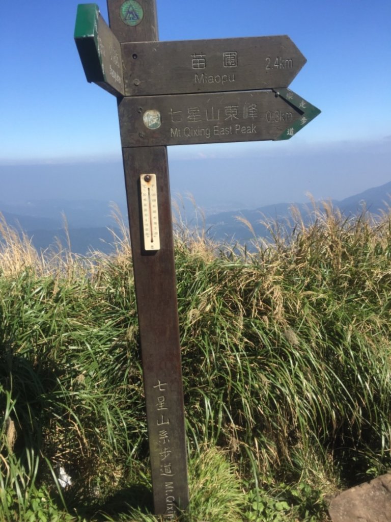 毛孩米奶登山去-七星山主峰、東峰_737969