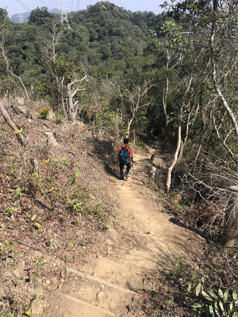 悠遊溪洲山~頭寮山_1279945