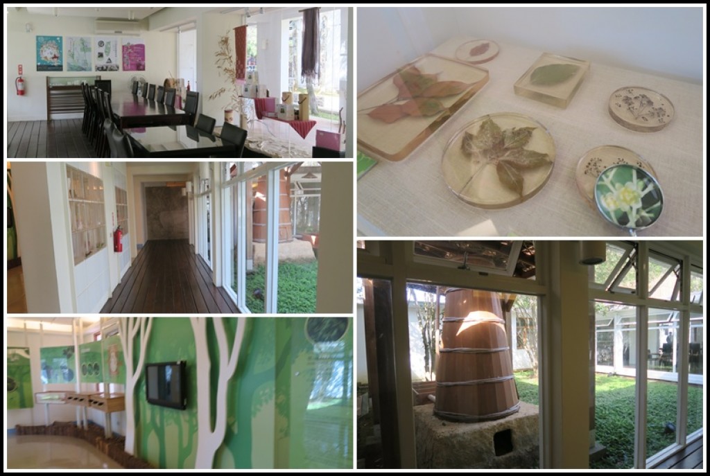 角板山梅花季。新溪口吊橋_252407