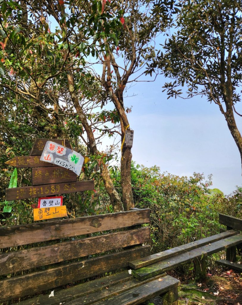 【中級山縱走】魯壁山，東穗山，大島田山，宇老觀景台_2771733