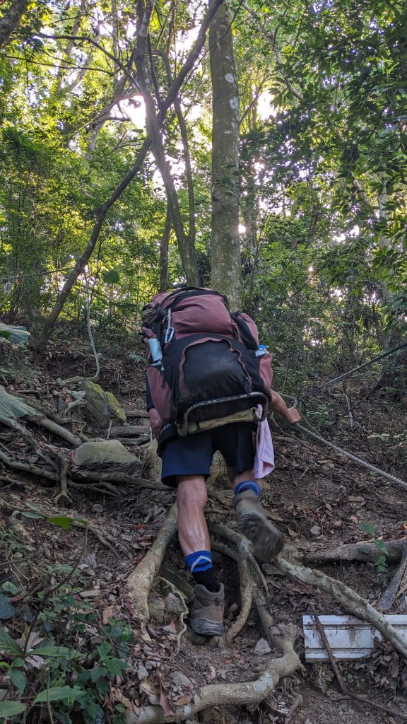 【屏步青雲】屏東山旅~棚集山_2650622