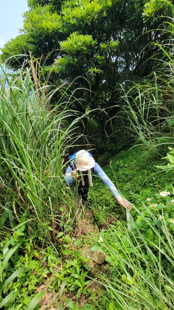 西進陽明山-20240504_2600711
