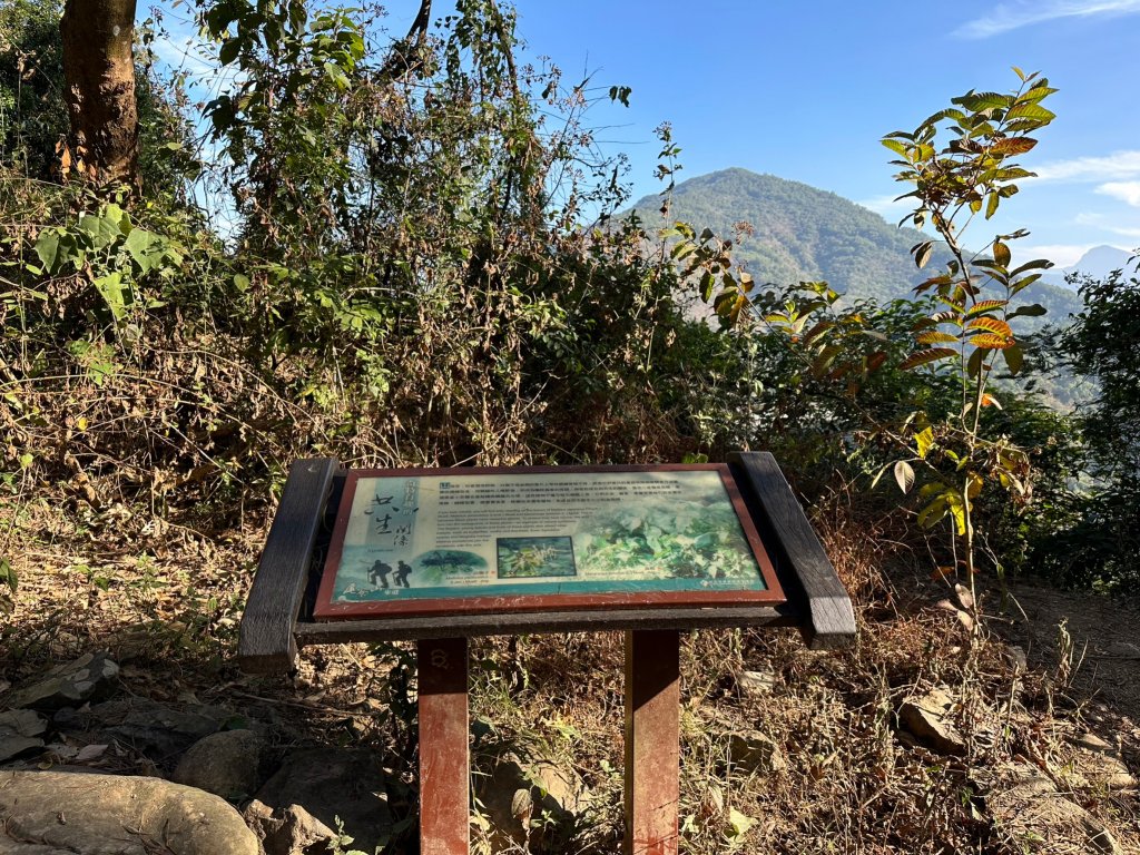 真的很硬的尾寮山_2039174