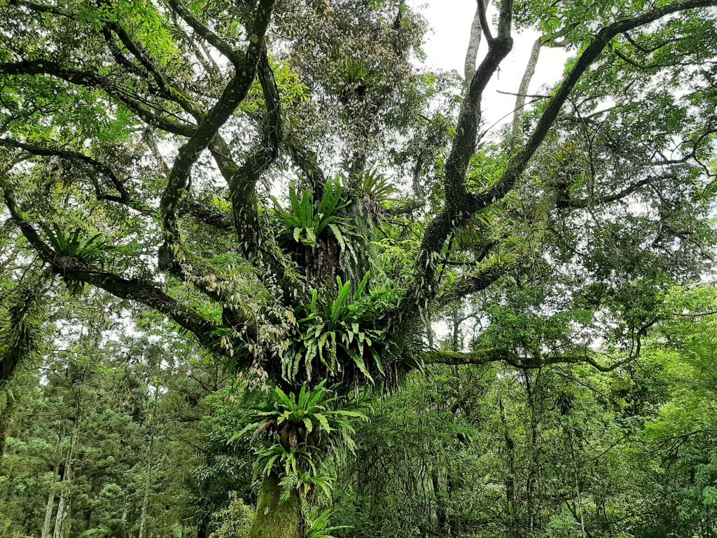 驚奇美妙的大自然饗宴_1366044