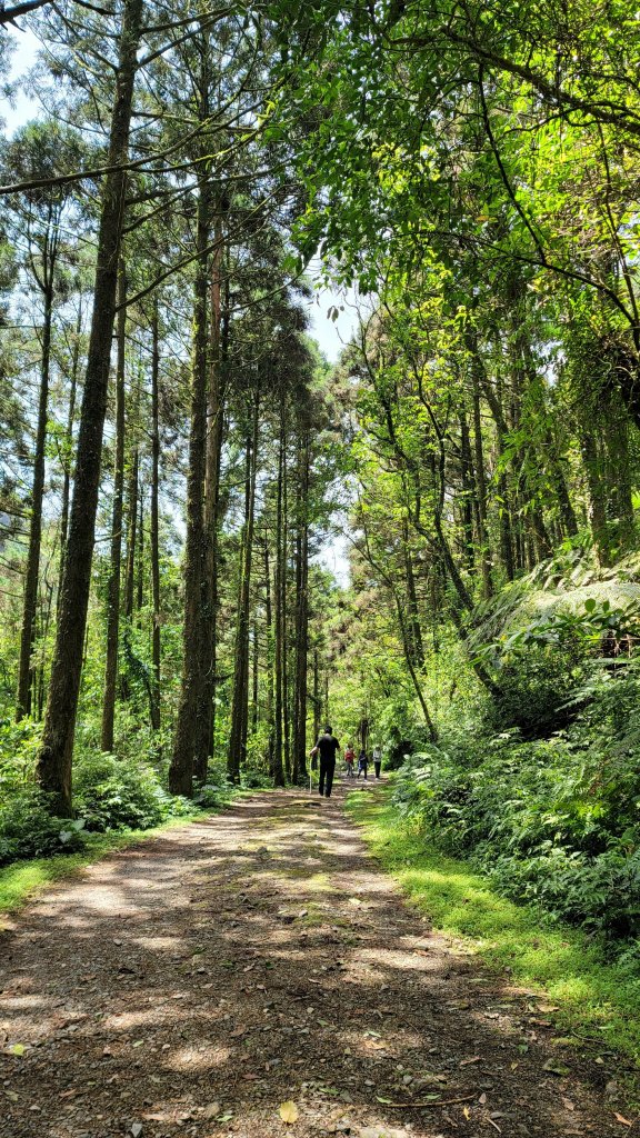 坪溪古道森林浴逍遙行_2115257