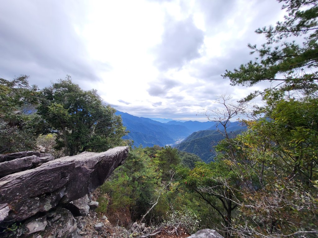 2025.11.30 谷關七雄 No.4 波津加山，不給休的蜂封面圖