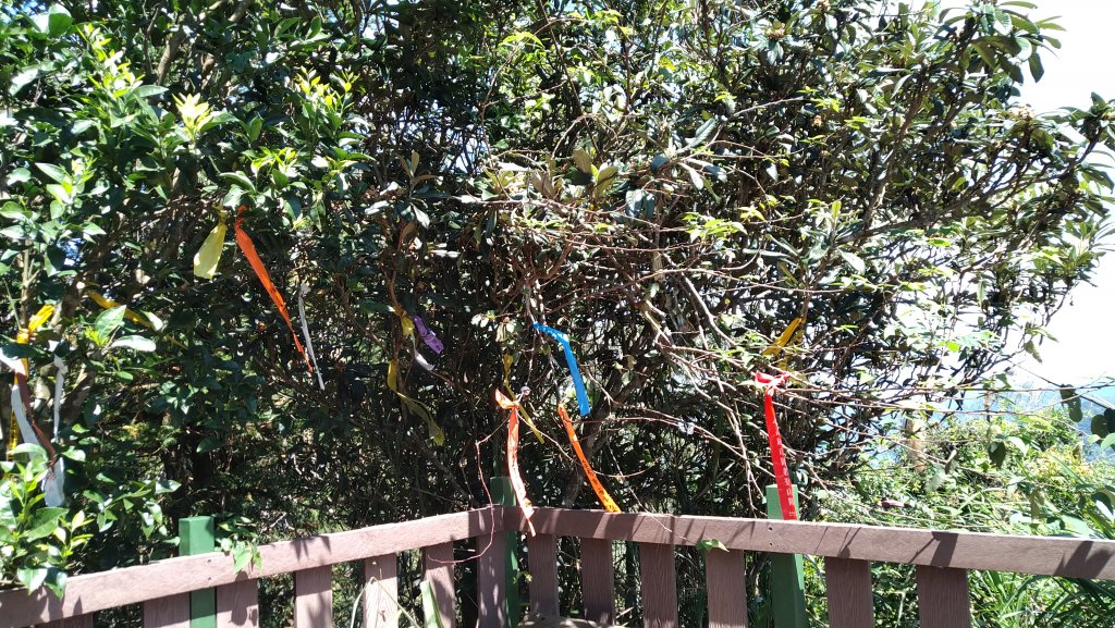 2019.9.29後尖山步道之旅_1411241