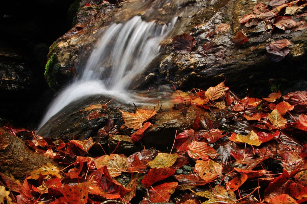 能高安東縱走_138083