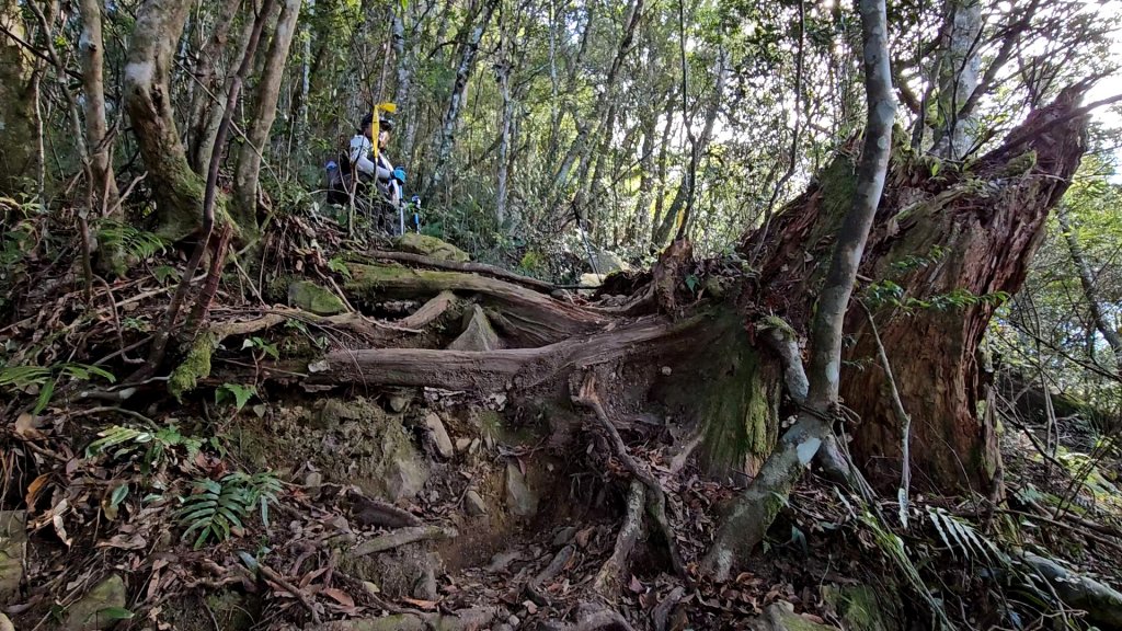 復興三尖之夫婦山_2356691