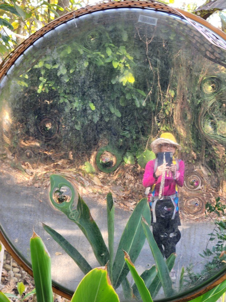 【彰化清水巖】十八彎古道連走擎天崗(中央嶺步道)_2038009