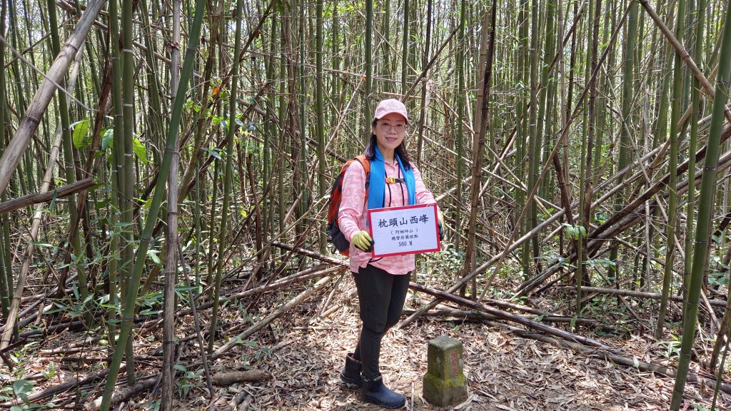 (姨婆趴趴走)第四集:桃園枕頭山古砲台步道、枕頭山、枕頭山西峰環狀縱走_2111991