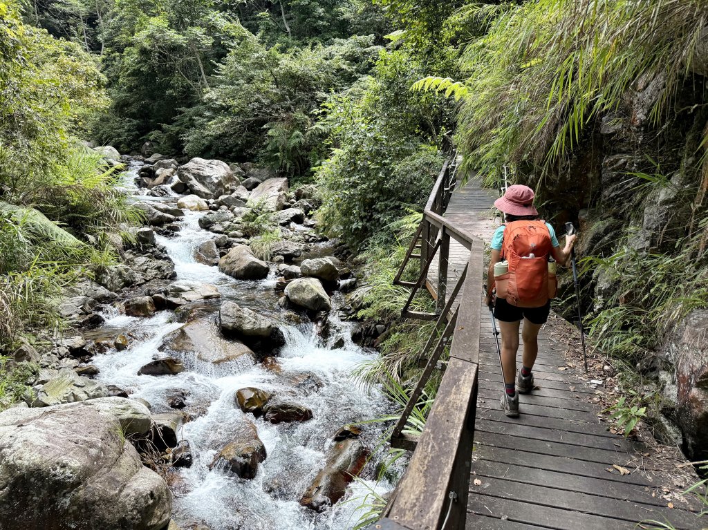 唐麻丹+蝴蝶谷O繞_2887846