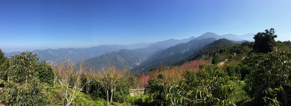 20210206高雄二集團山及櫻花公園封面圖