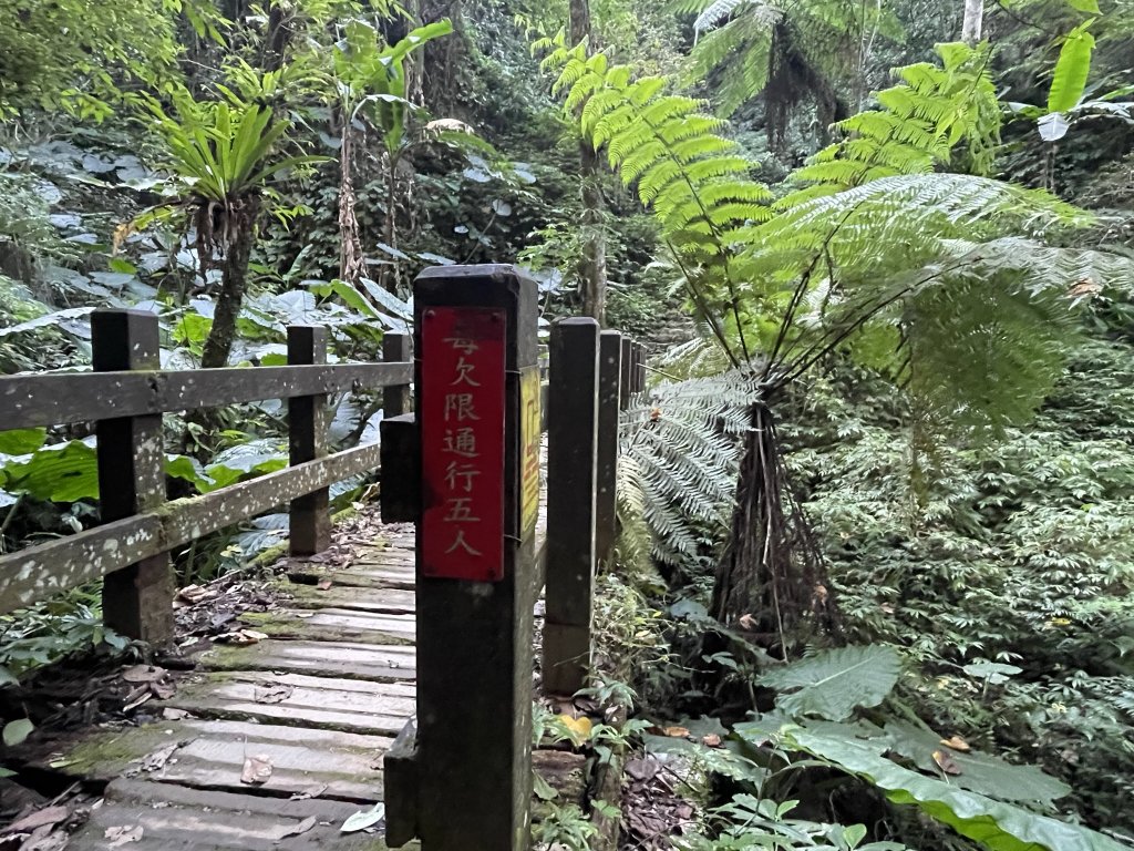 小百岳編號30-五指山112.11.04(原路折返)_2336912