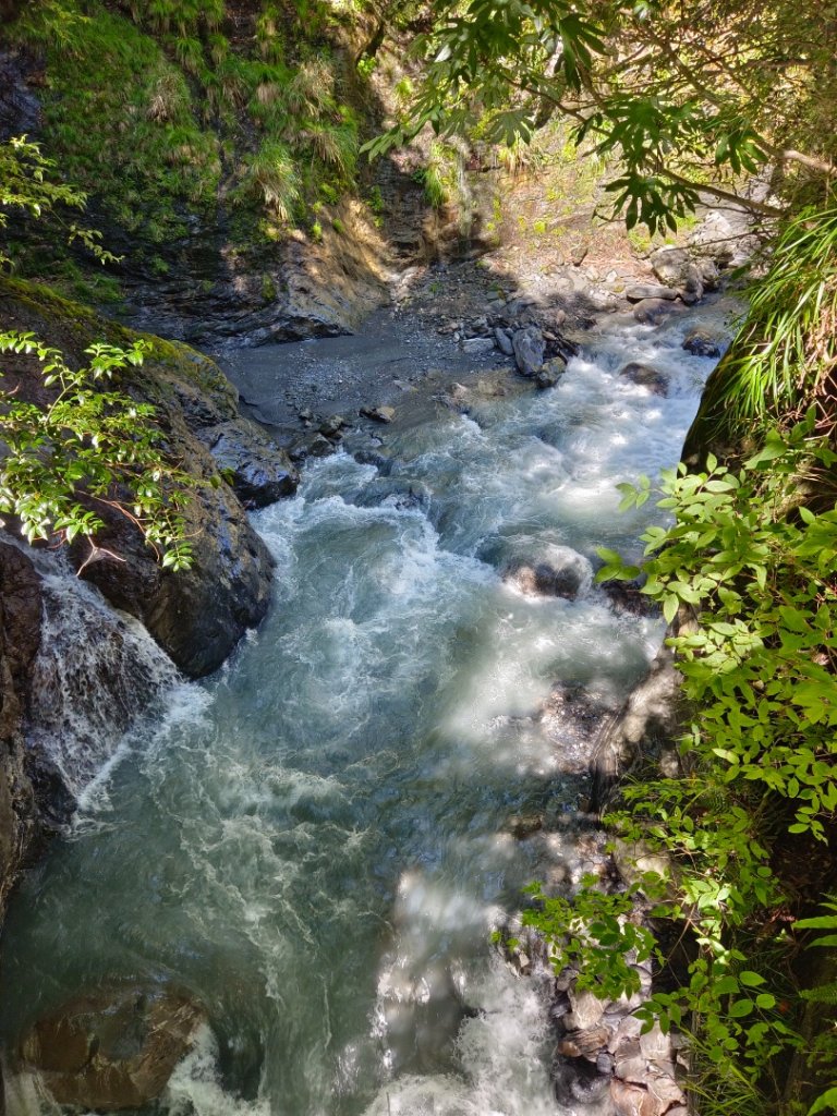 兩颱風之間空擋登屏風山巧遇保育類動物+出大景_2237928