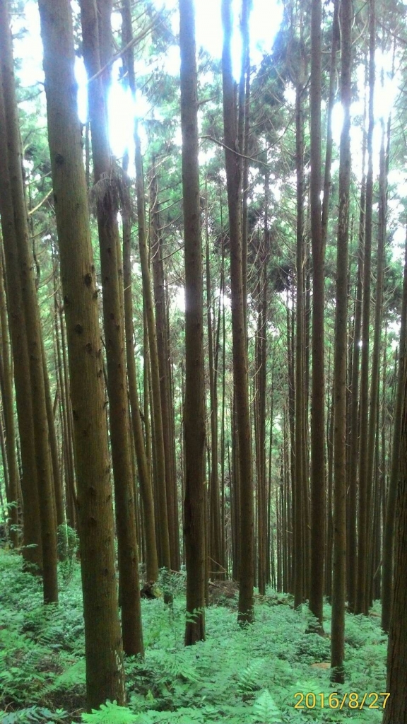 20160827新竹五峄民都有山_61771