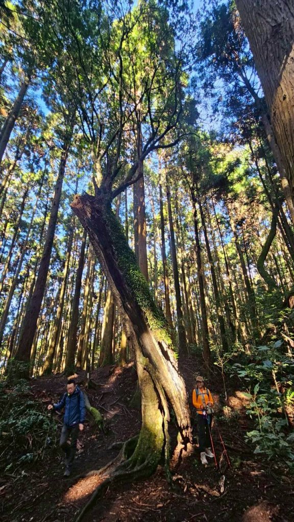 20260103民都有山北峰-主峰-西峰_2977637