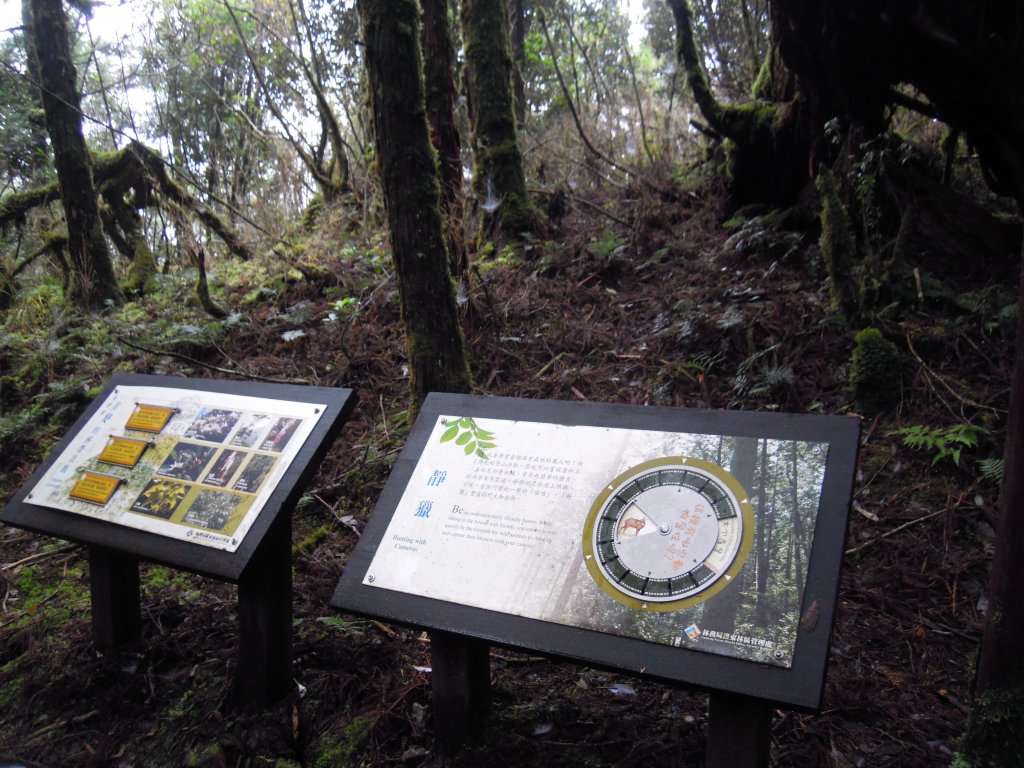 宜蘭太平山_翠峰湖&見晴懷古步道20141025_1961137