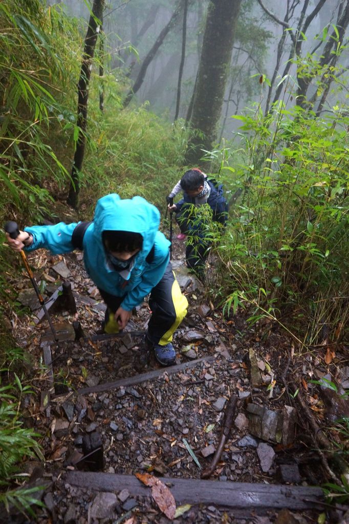馬崙山露營趣_282502