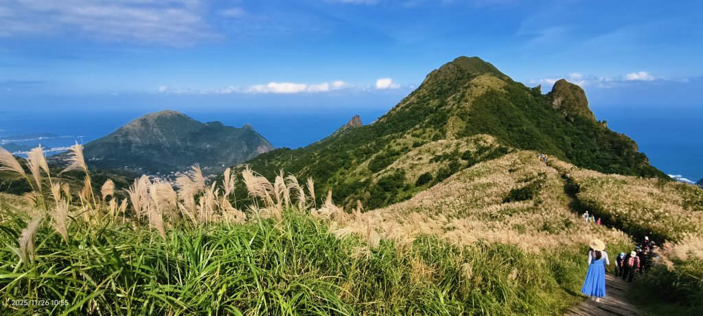 #半屏山 #芒花 11/26_2946032