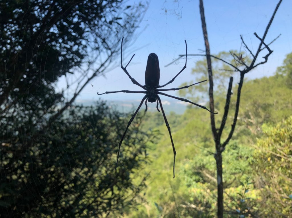 三員縱走【回不去了 那就豪邁縱走六連峰】_754914