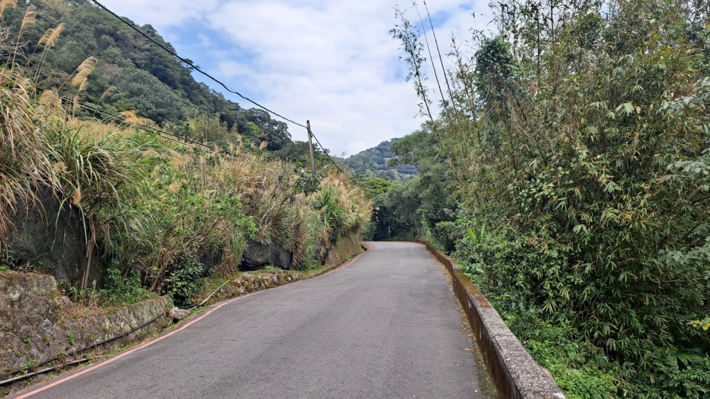 20240305坪頂古圳-登峰圳-內雙溪古道-瑪礁古道-大崎頭步道O繞_2447151