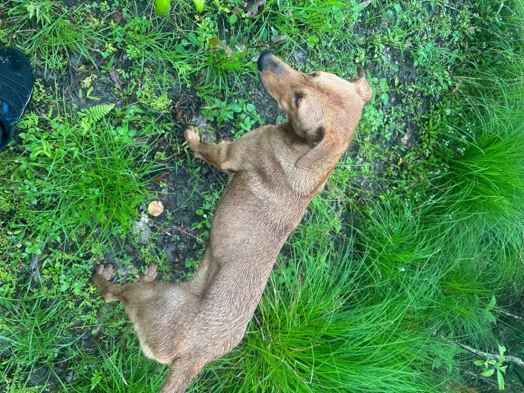 八里灣山封面圖