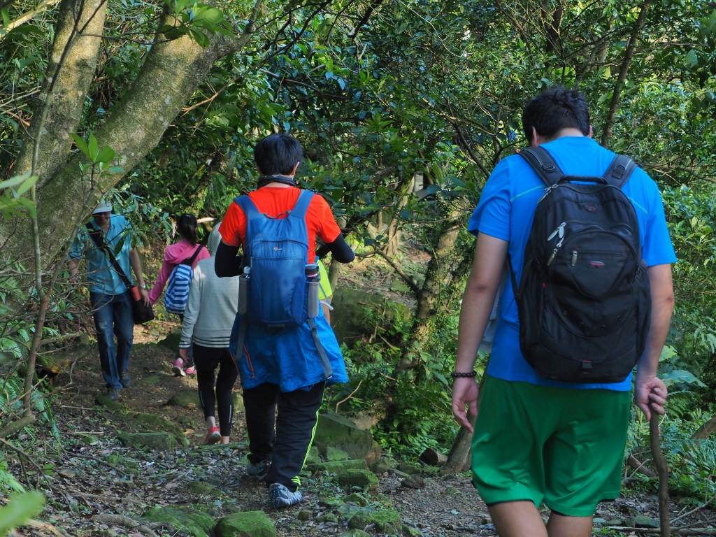 健行日 - 大粗坑古道、小粗坑古道_83445