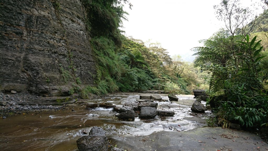 姜子寮山步道&姜子寮絕壁步道_549653