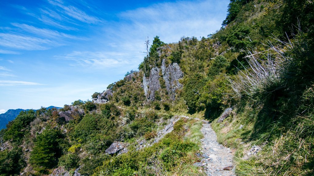 玉山主西_1895819