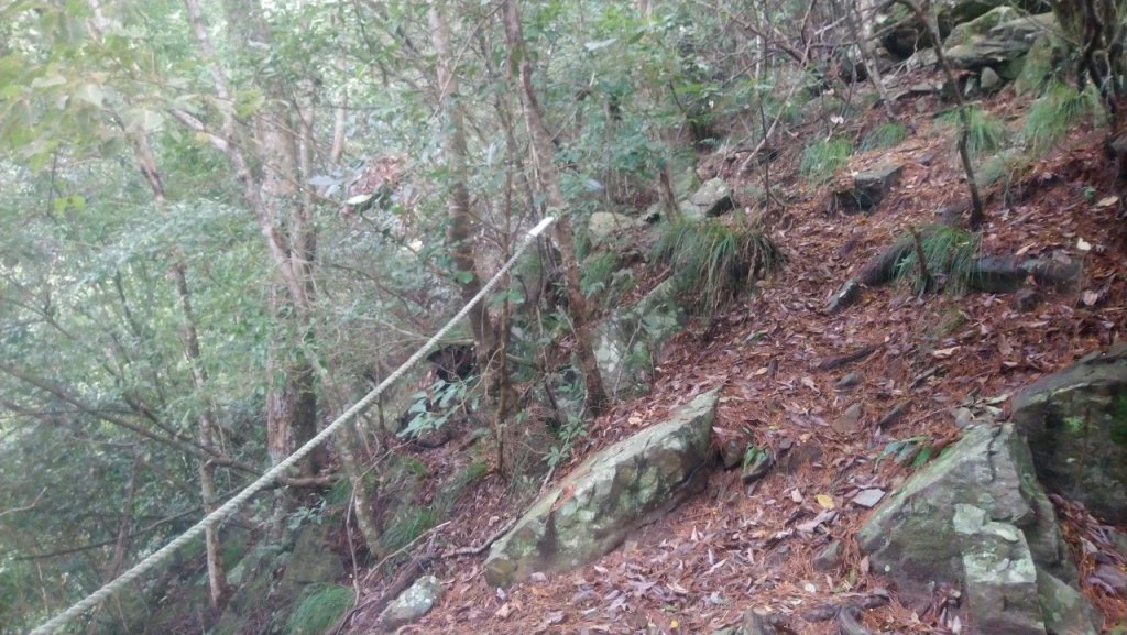 坡很陡的波津加山(老四)_1835012