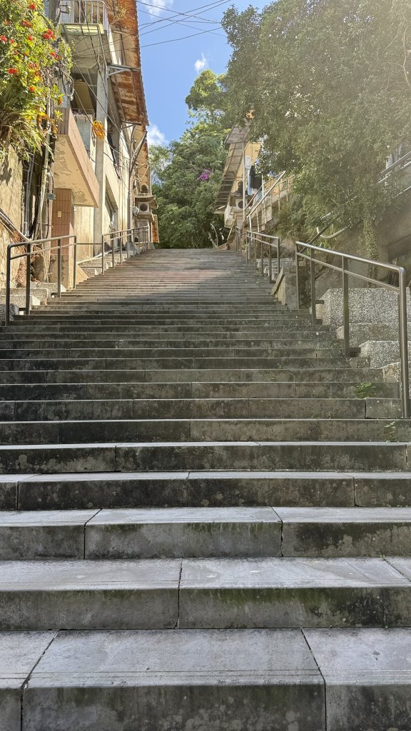 2025/10/15 台北大縱走第7段_2916477