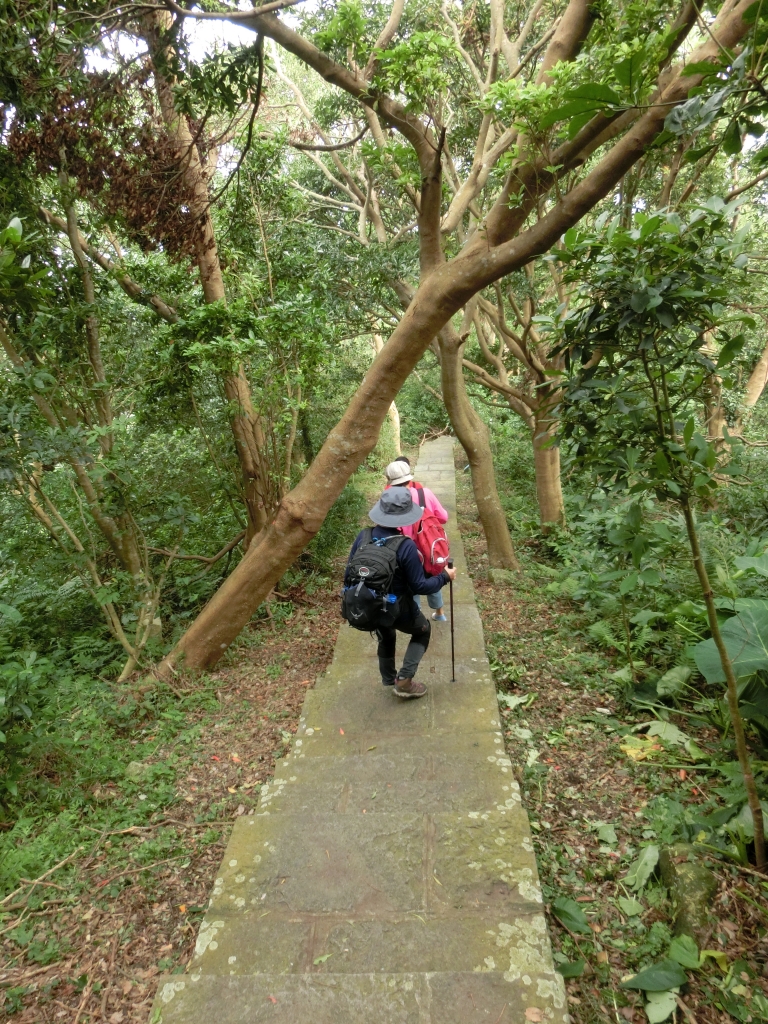 觀音山越嶺_92790