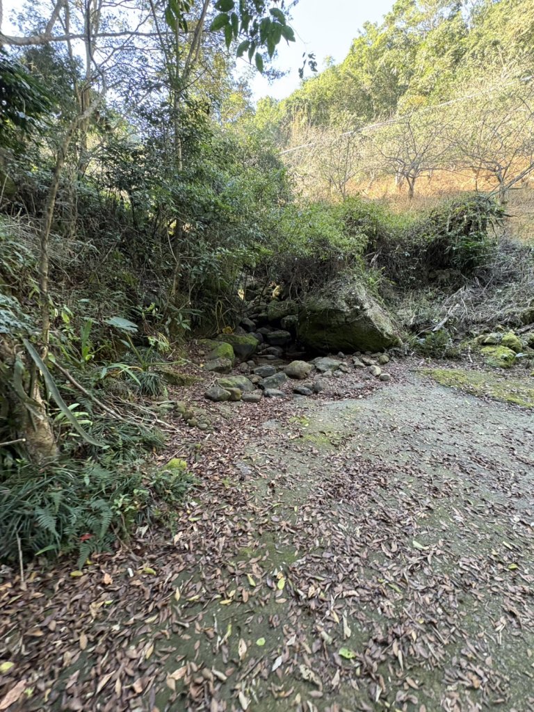 20251123台南－獵鷹尖一線天步道_2944541