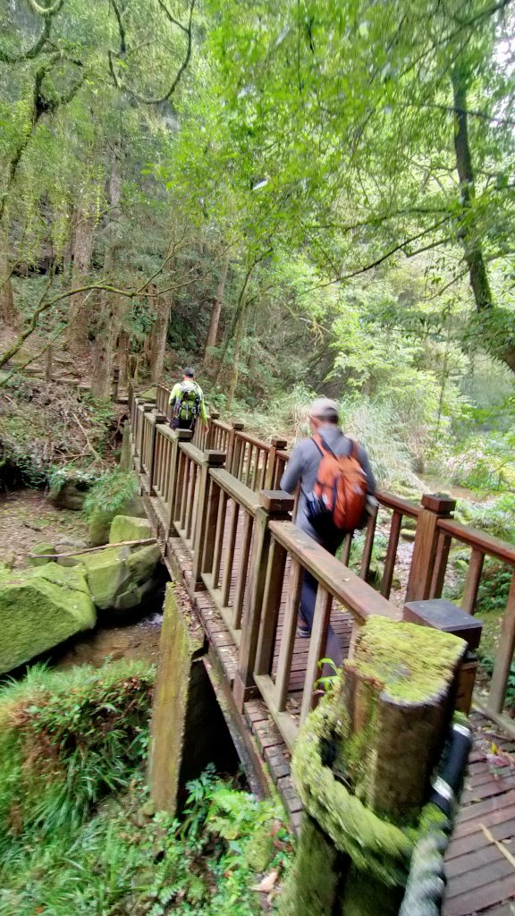 杉林溪一日遊_1661497