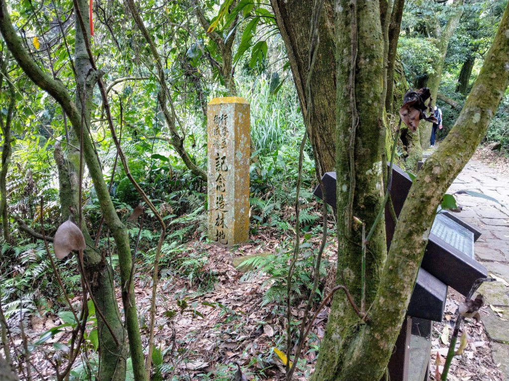 苗圃登山口上七星山(小百岳#2)連五峰_925140