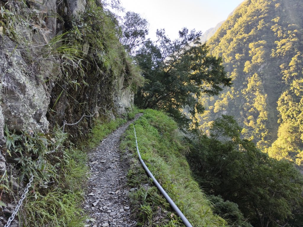 [玉山尋寶任務-07/12] 2025_0824 八通關雲龍瀑布步道_2870532