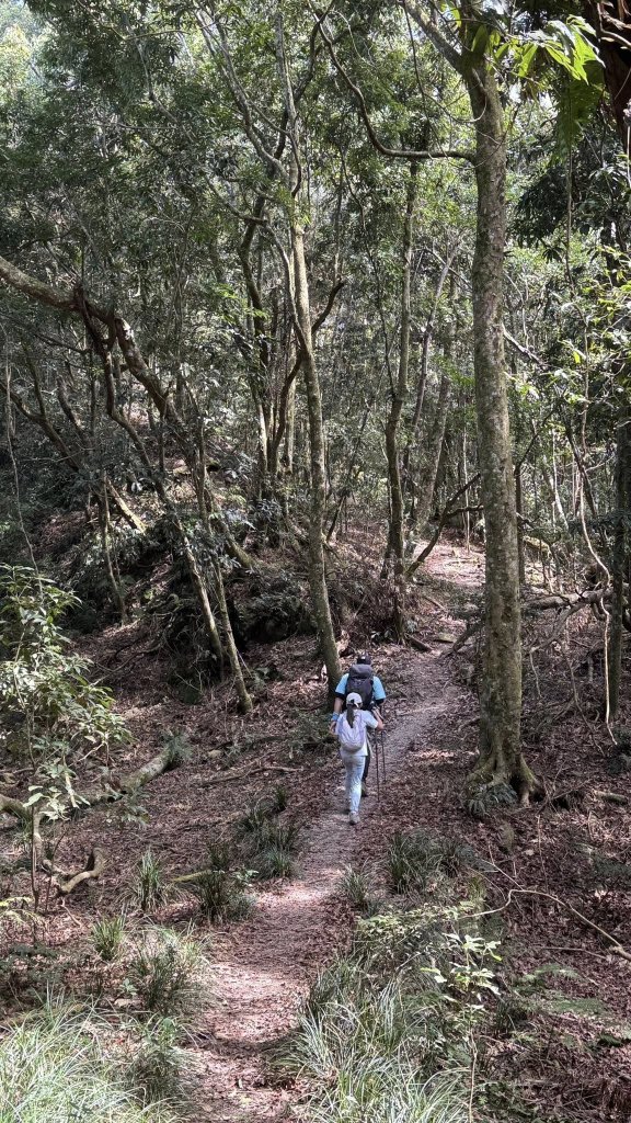 20260213 小百岳鳴海山_3002958
