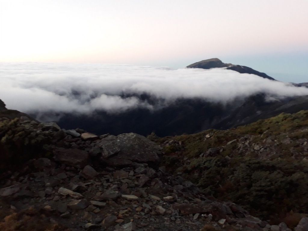 嘉明湖、向陽山、三叉山_336082