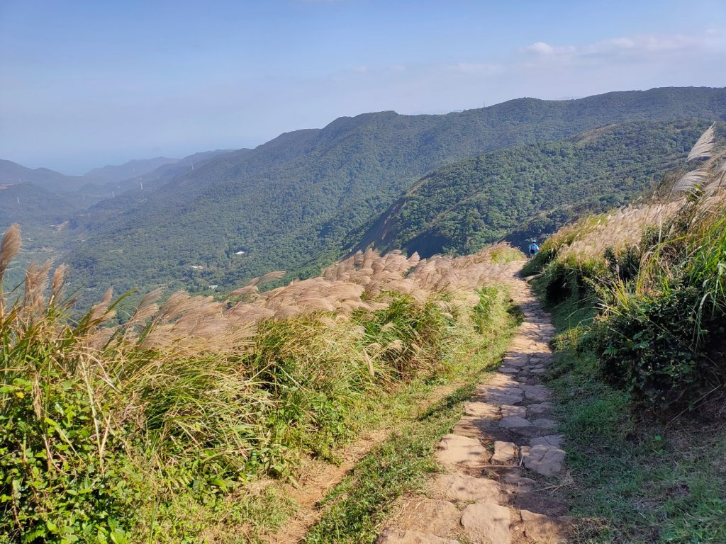 ［擎天崗環形步道］［頂山石梯嶺步道］_2357879