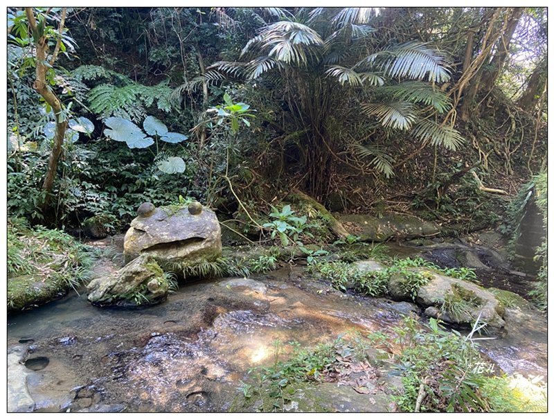 草嶺山、白石山、頭寮山 六連峰 O型路線_2798615