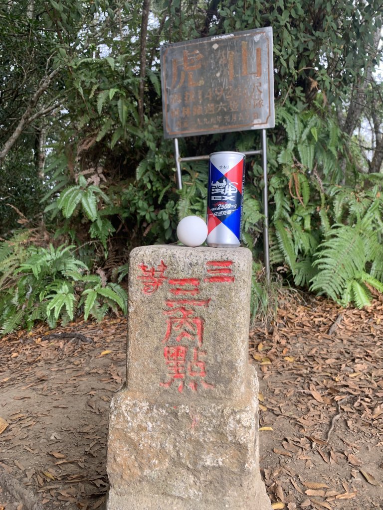 【中級山】明知山沒虎，偏向虎山行_2441959