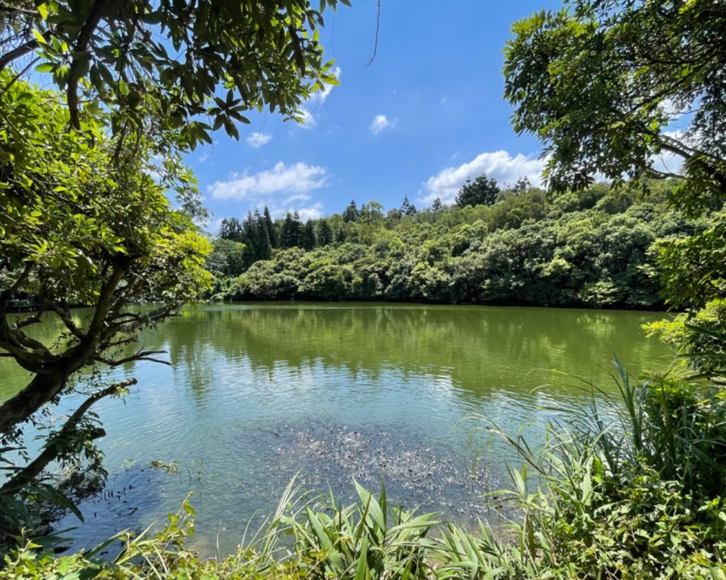 楊梅步道串走封面圖