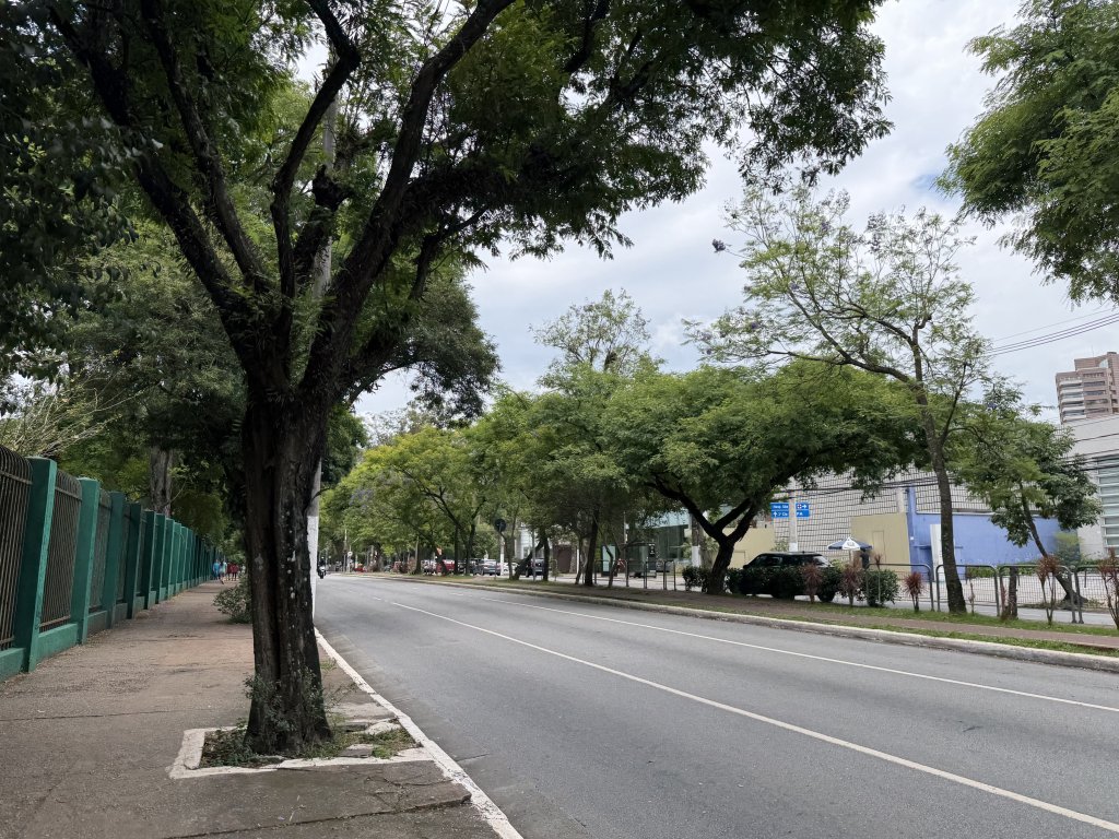 [紐約馬之行-69] 2025_1116 伊比拉布埃拉公園-下_2955233