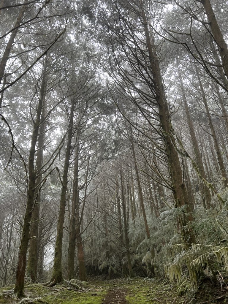 【南三段逆走】D7 冰雪沙武巒草原與瑞穗林道_2021794