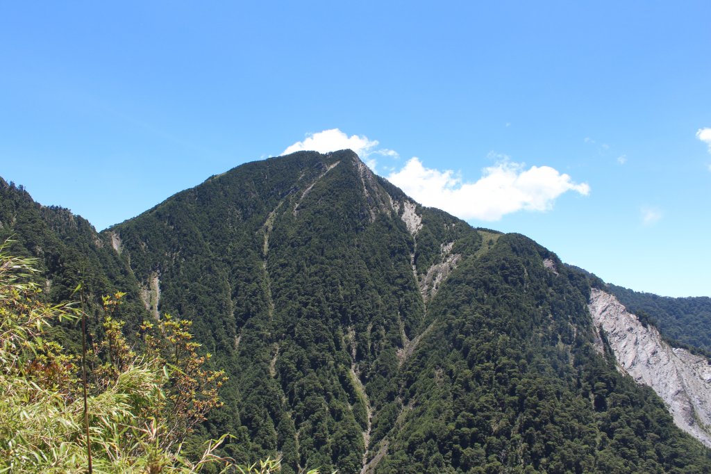 20220711一日雙星關山嶺山-塔關山_1766739